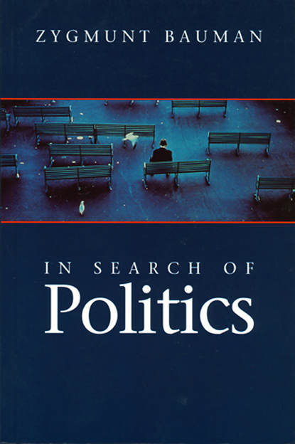 Скачать книгу In Search of Politics