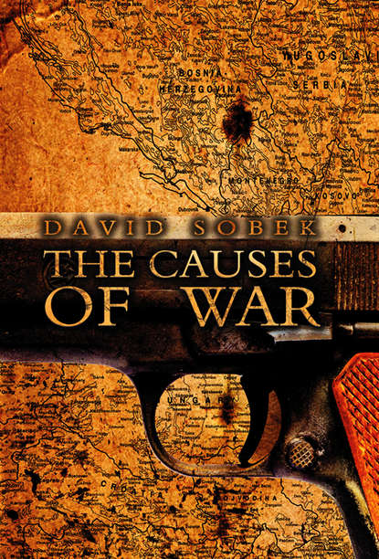 Скачать книгу The Causes of War