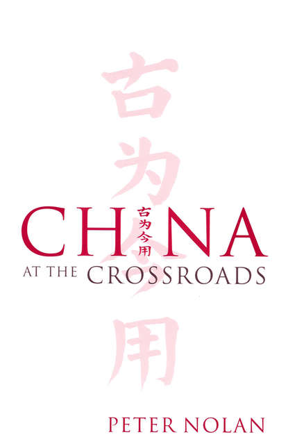 Скачать книгу China at the Crossroads