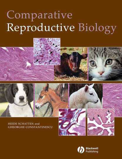 Скачать книгу Comparative Reproductive Biology
