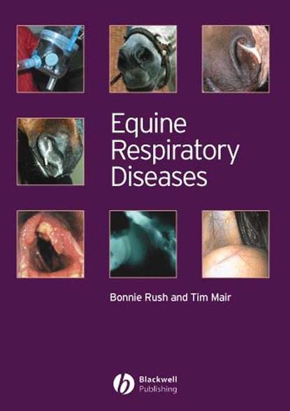 Скачать книгу Equine Respiratory Diseases