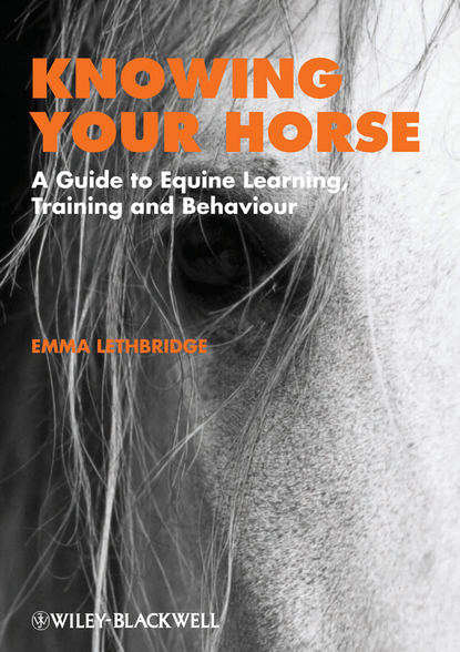 Скачать книгу Knowing Your Horse