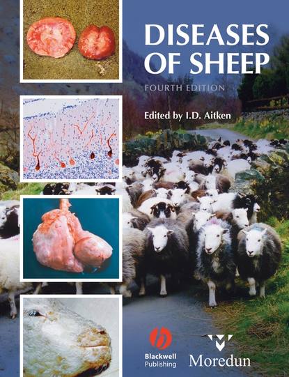Скачать книгу Diseases of Sheep