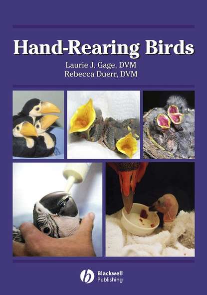 Скачать книгу Hand-Rearing Birds