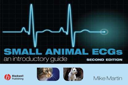 Скачать книгу Small Animal ECGs