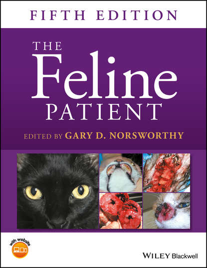 Скачать книгу The Feline Patient