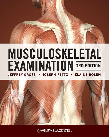 Скачать книгу Musculoskeletal Examination