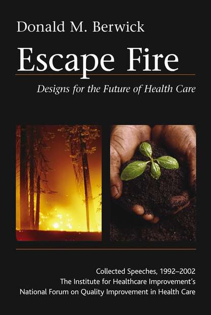 Скачать книгу Escape Fire