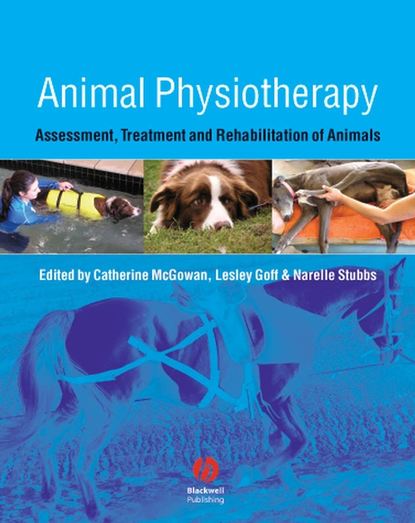 Скачать книгу Animal Physiotherapy