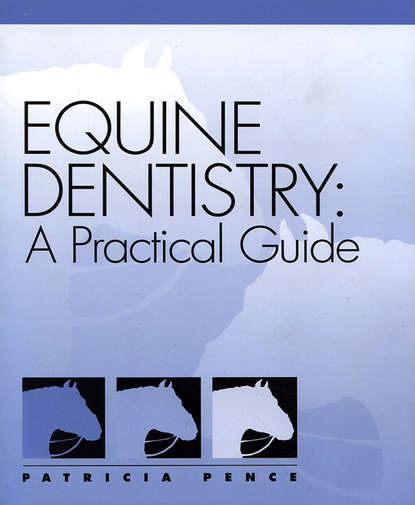 Equine Dentistry