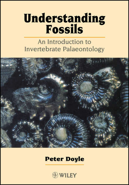 Скачать книгу Understanding Fossils