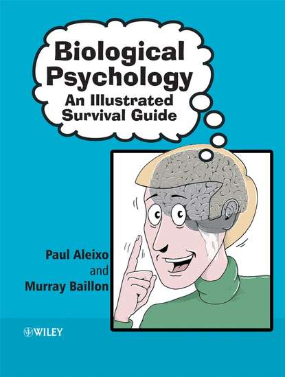 Скачать книгу Biological Psychology