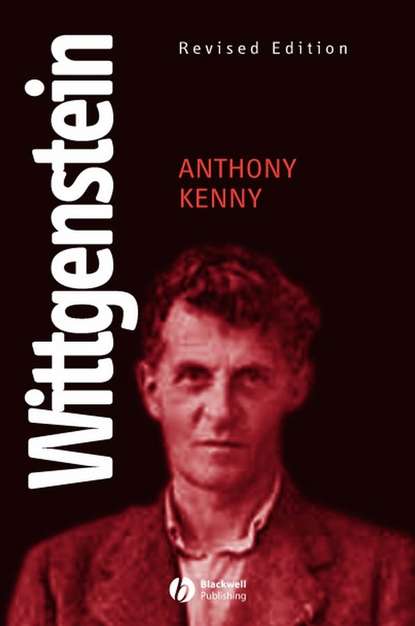 Скачать книгу Wittgenstein