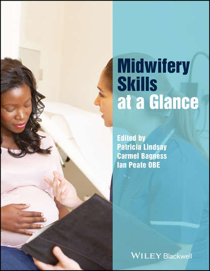 Скачать книгу Midwifery Skills at a Glance