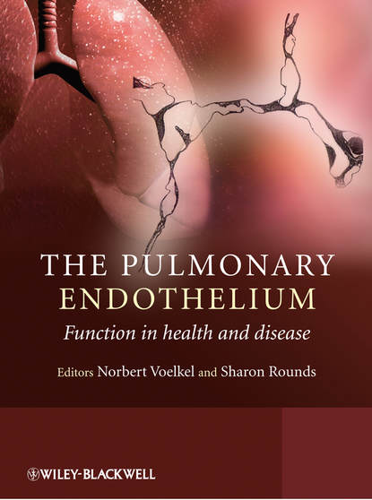 Скачать книгу The Pulmonary Endothelium