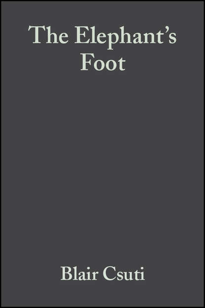 The Elephant's Foot