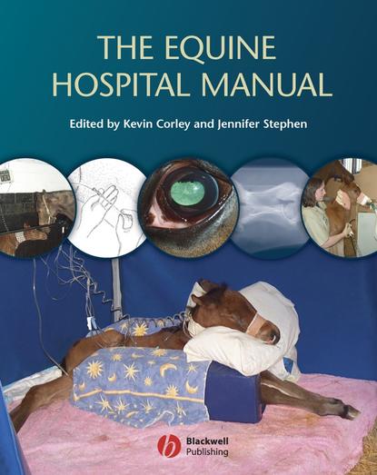 Скачать книгу The Equine Hospital Manual