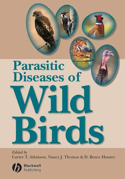 Скачать книгу Parasitic Diseases of Wild Birds