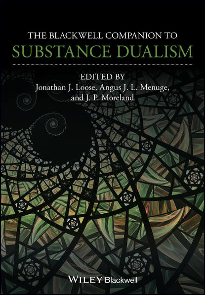 Скачать книгу The Blackwell Companion to Substance Dualism