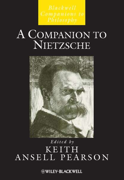 Скачать книгу A Companion to Nietzsche