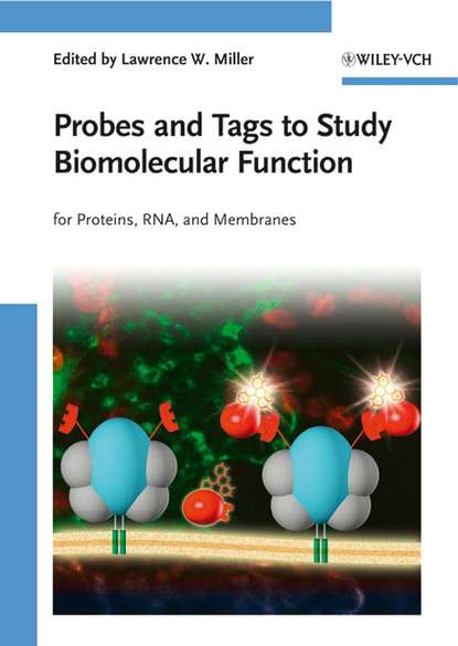 Скачать книгу Probes and Tags to Study Biomolecular Function