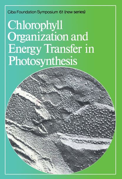 Скачать книгу Chlorophyll Organization and Energy Transfer in Photosynthesis