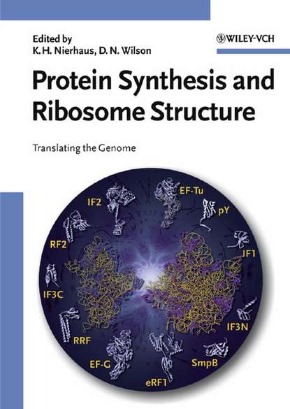 Скачать книгу Protein Synthesis and Ribosome Structure