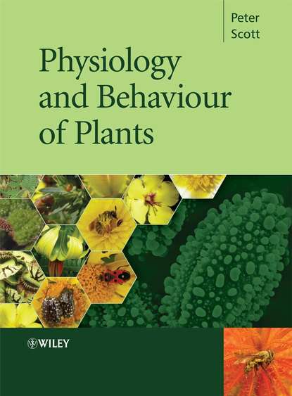 Скачать книгу Physiology and Behaviour of Plants