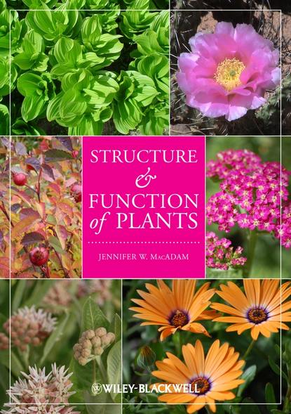 Скачать книгу Structure and Function of Plants