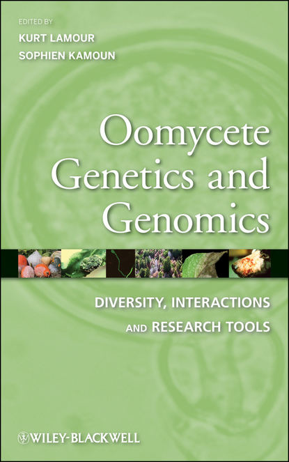 Скачать книгу Oomycete Genetics and Genomics