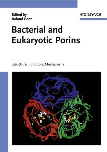 Скачать книгу Bacterial and Eukaryotic Porins