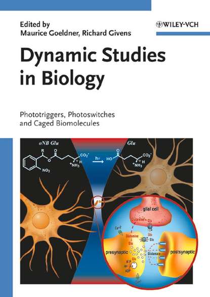 Скачать книгу Dynamic Studies in Biology