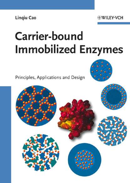 Скачать книгу Carrier-bound Immobilized Enzymes