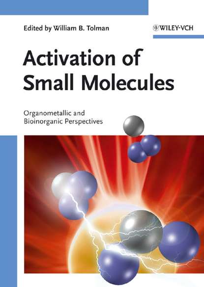 Скачать книгу Activation of Small Molecules