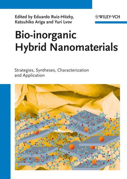 Скачать книгу Bio-inorganic Hybrid Nanomaterials