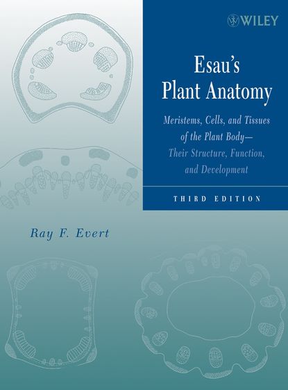 Скачать книгу Esau's Plant Anatomy