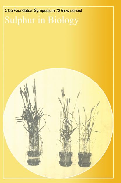Скачать книгу Sulphur in Biology