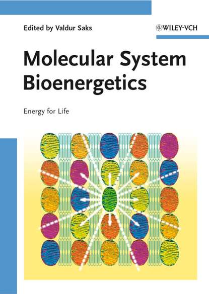 Скачать книгу Molecular System Bioenergetics