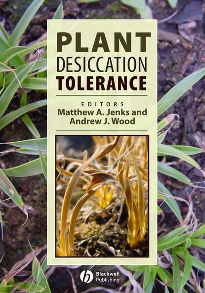 Скачать книгу Plant Desiccation Tolerance
