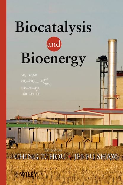 Скачать книгу Biocatalysis and Bioenergy