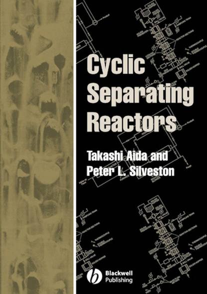 Скачать книгу Cyclic Separating Reactors