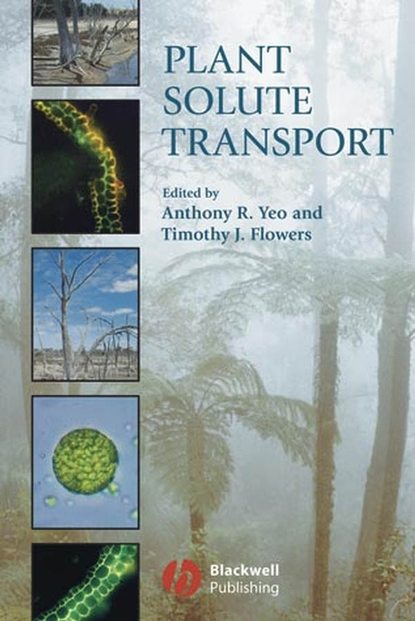 Скачать книгу Plant Solute Transport