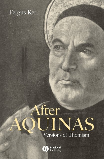 Скачать книгу After Aquinas