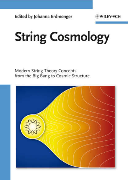 Скачать книгу String Cosmology