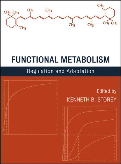 Скачать книгу Functional Metabolism