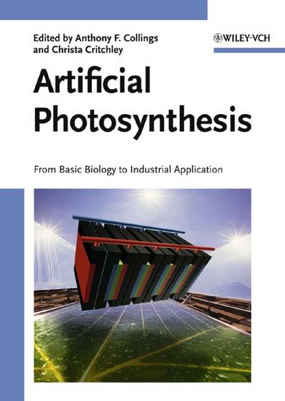 Скачать книгу Artificial Photosynthesis