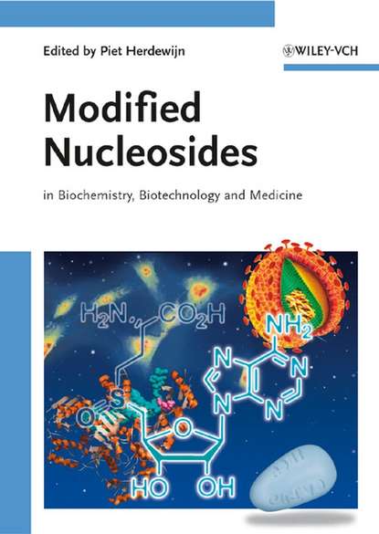 Скачать книгу Modified Nucleosides