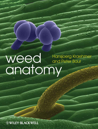 Скачать книгу Weed Anatomy