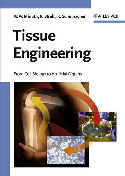 Скачать книгу Tissue Engineering