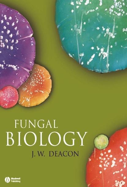 Скачать книгу Fungal Biology